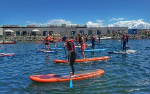 SUP - Stand Up Paddle